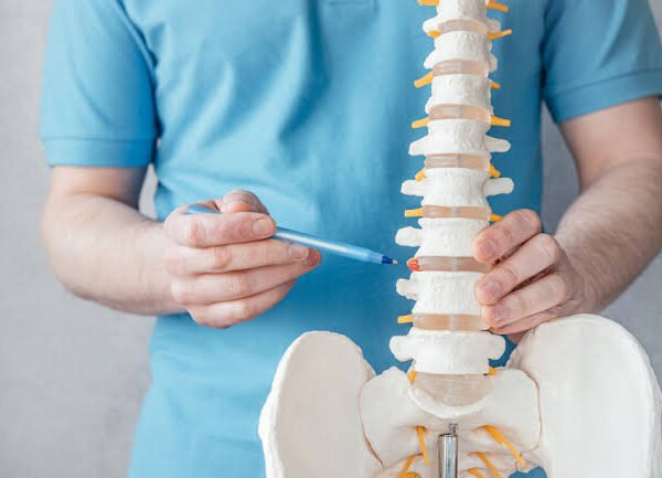 Practitioner pointing to a section of a spine model