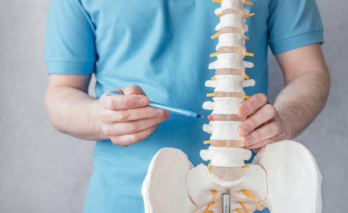 Practitioner pointing to a section of a spine model